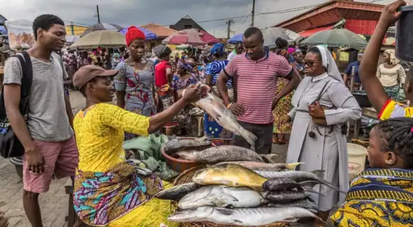 Minister of Agriculture reveals Federal Government to stop Importation of Fish in 2022
