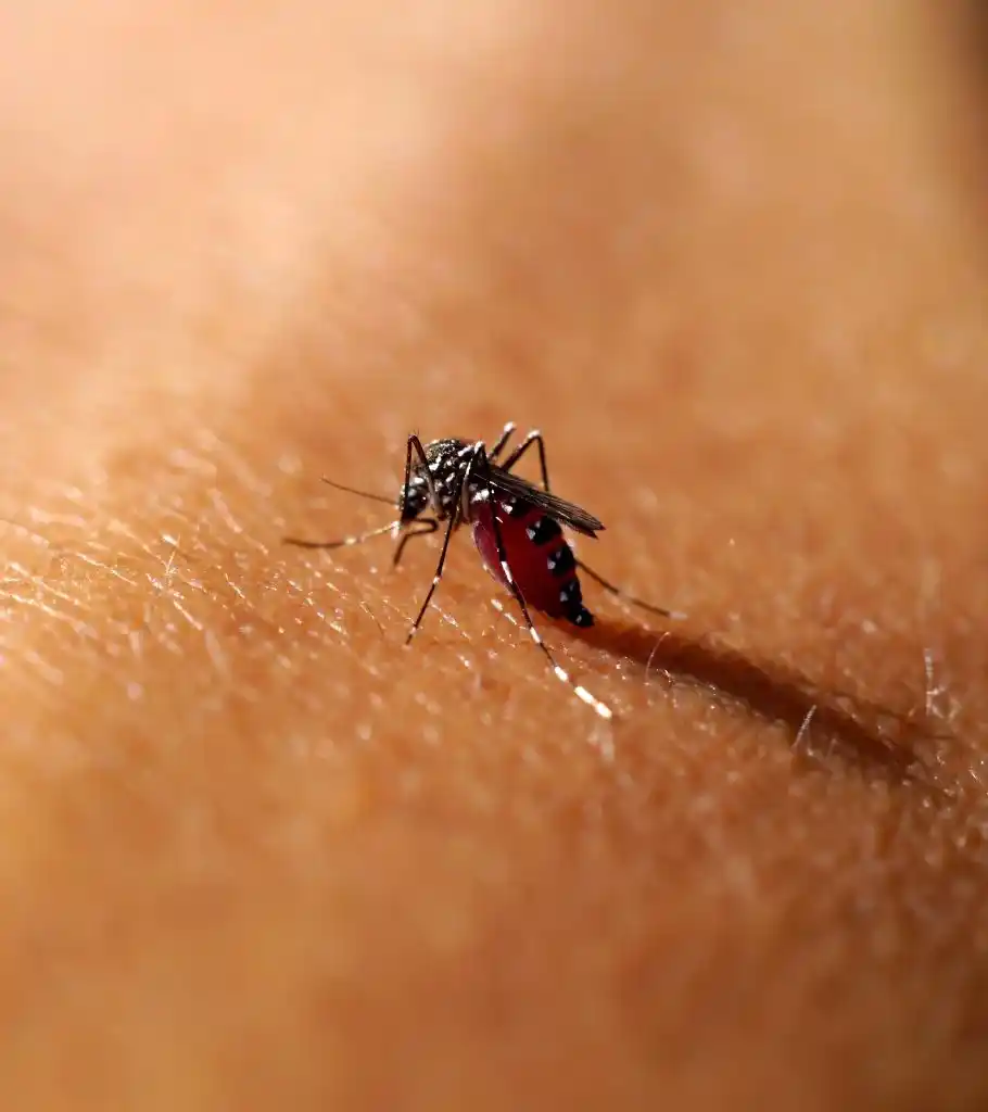 FG committed to tackling malaria scourge – Minister