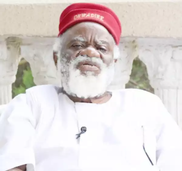 Nnamdi Kanu: No Igbo Man In Buhari’s Security Council – Ezeife