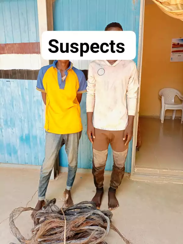 NSCDC Arrests Three Electric Cable Thieves In Jigawa (Photo)