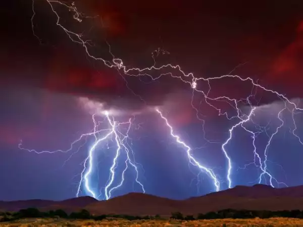 Thunderstorm Kills Suspected Kidnappers In Forest