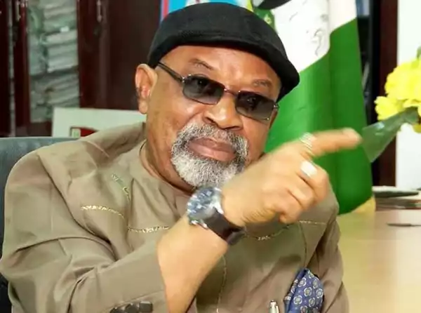 Insecurity Problems In Nigeria Caused By Unemployment - Ngige