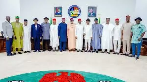 Zoning: Southern Governors Forum Reacts To Northern Governors