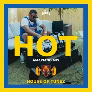 DJ Tunez – Hot Amapiano Mix Vol. 1