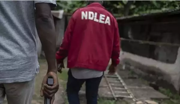 NDLEA Detains Indian Businessman Over 134,700 Bottles Of Codeine Smuggled Into Nigeria