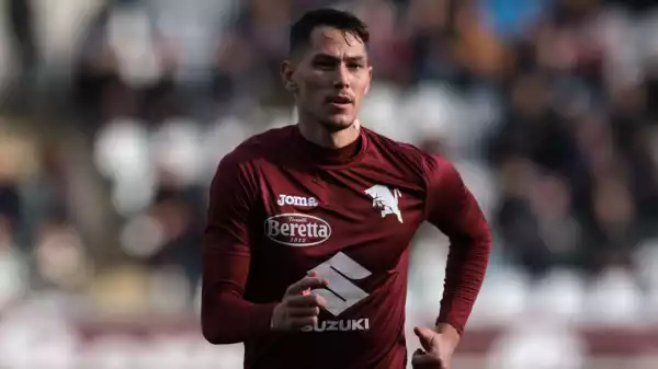 Fulham confirm signing of Sasa Lukic from Torino