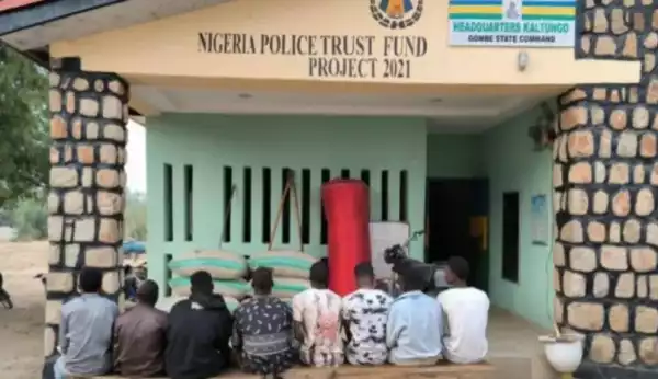 Police Arrest 12 Suspects In Gombe For Various Criminal Offenses