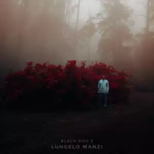 Lungelo Manzi – Rotation