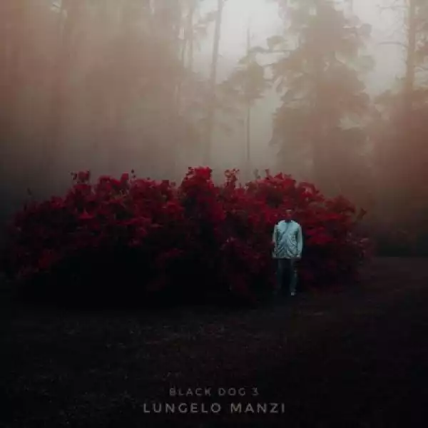 Lungelo Manzi – Patience