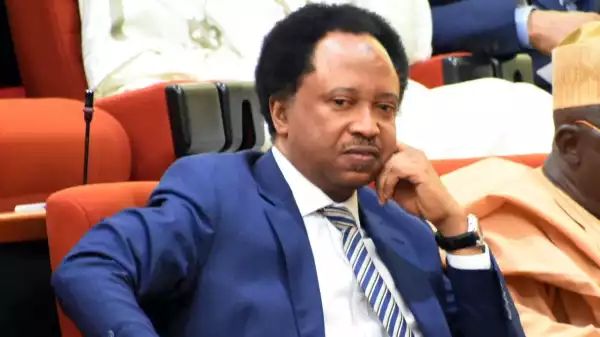 Human Lives Will Be Electrocuted – Shehu Sani Reacts To Hike In Electricity Tariff
