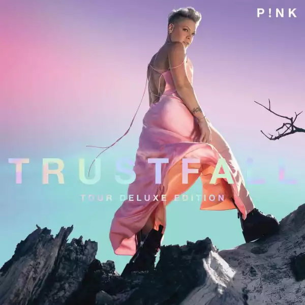 P!nk – All Out Of Fight