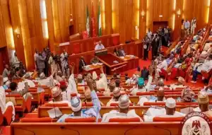 Bill to Extend Tenure of NASS Clerk, Sani Tambuwal, Others Rejected in Senate