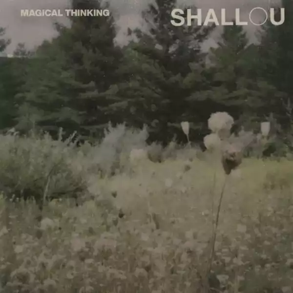 Shallou - Make Believe