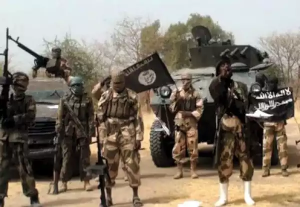 Troops chase Boko Haram insurgents out of Yobe town