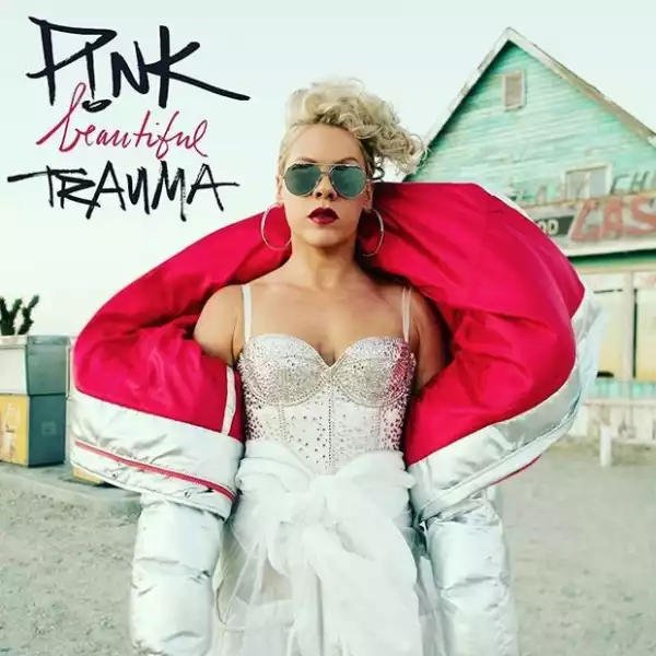 P!nk – Wild Hearts Can’t Be Broken