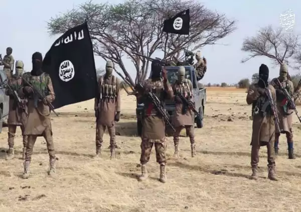 Boko Haram Beheads 11 Loggers In Borno