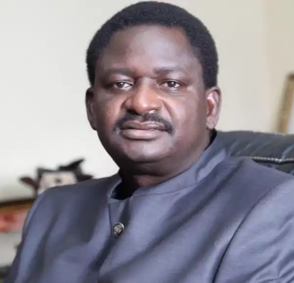 I have been surviving on N20,000 for one week - Femi Adesina