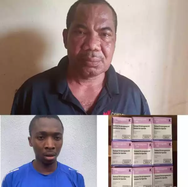 NDLEA Busts Drug Syndicate, Arrests Members In Anambra