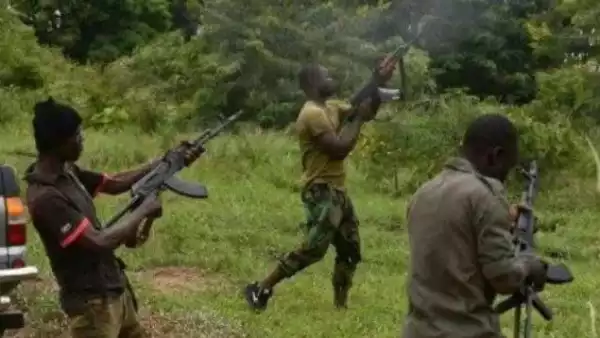 Unknown Gunmen Attack Checkpoint, Kill Two Policemen In Enugu