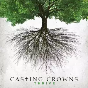Casting Crowns - Dream for You