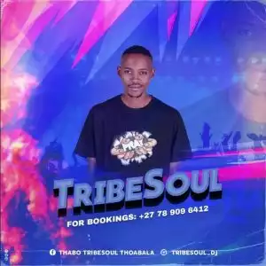 Tribesoul & Nkulee501 – China ft. Dj Hugo & Log Junior