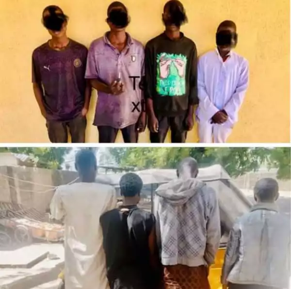 Police Nab Fake Herbalist For Defiling Two Minors Under Guise Of Casting Out Evil Spirits In Borno