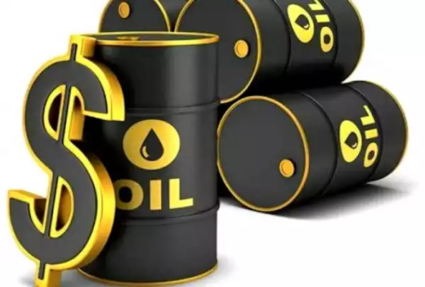 Oil Market: Bonny Light price, others rise to $116 per barrel despite uncertainty