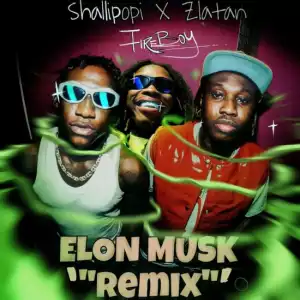 Shallipopi – Elon Musk (Remix) ft. Zlatan, Fireboy DML