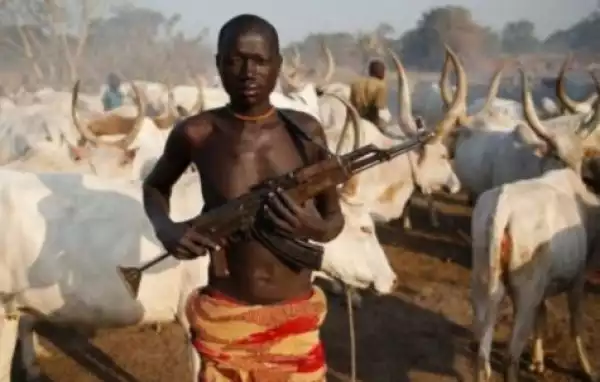 JUST IN! Suspected Herdsmen Kidnap 2 Abia State University Lecturers, Others