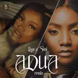 Liya, Simi – Adua (Remix)
