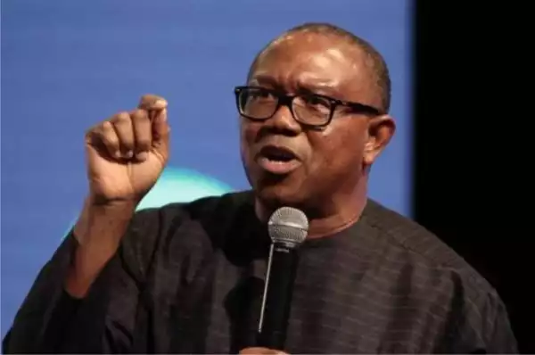Peter Obi: People Are Calling The Schools I Attended To Know If I Was A Student