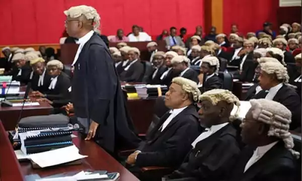 Tribunal to deliver judgement on APM