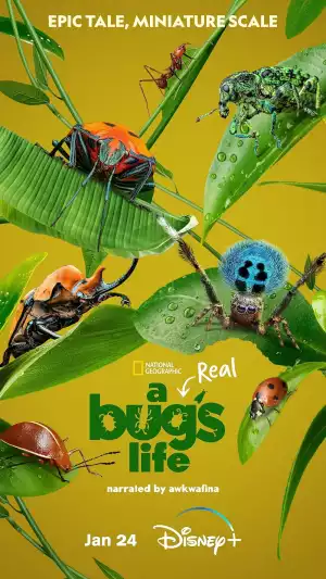 A Real Bugs Life Season 1