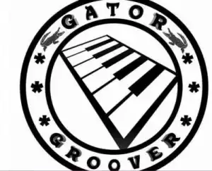 Gator Groover – Space (Dance Mix)