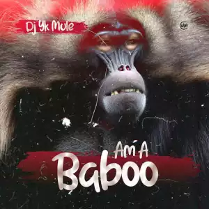 DJ YK Mule – Am a Baboo Ft. Portable