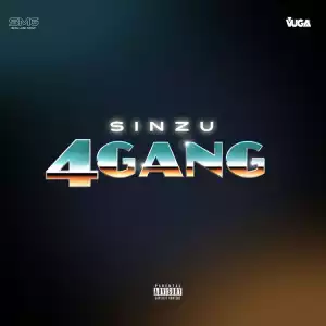 SiNZU – 4 GanG (Cover)