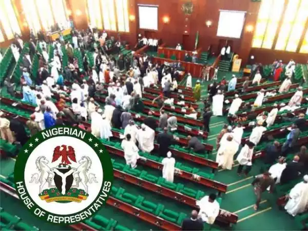 Reps Want Police, Mining, Power Generation To Leave Exclusive List