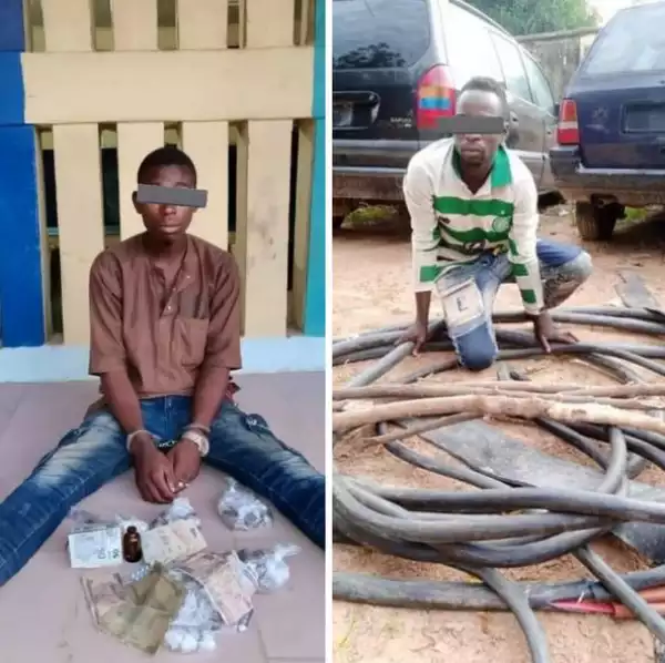 Police Foil Armed Robbery, Arrest 14 Suspects For Vandalization And Illicit Drug Dealing In Jigawa