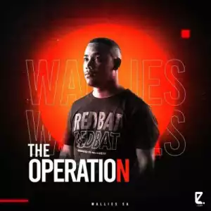 Wallies SA – The Operation (EP)