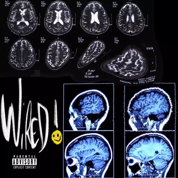 Kirk Knight – Wired
