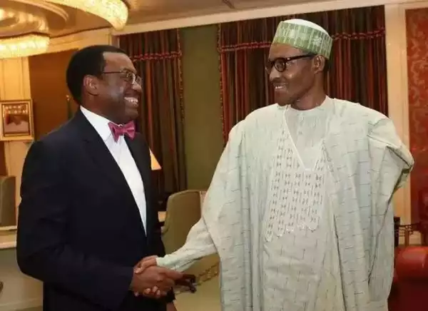 Do You Agree?? No Business Can Survive In Nigeria Without Generators – Akinwumi Adesina