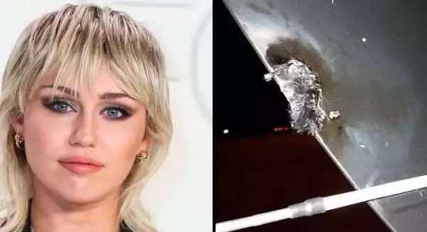 Miley Cyrus Plane Makes Emergency Landing After Being Struck By Lightening