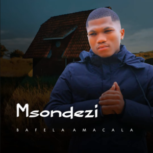 Msondezi – Amakula