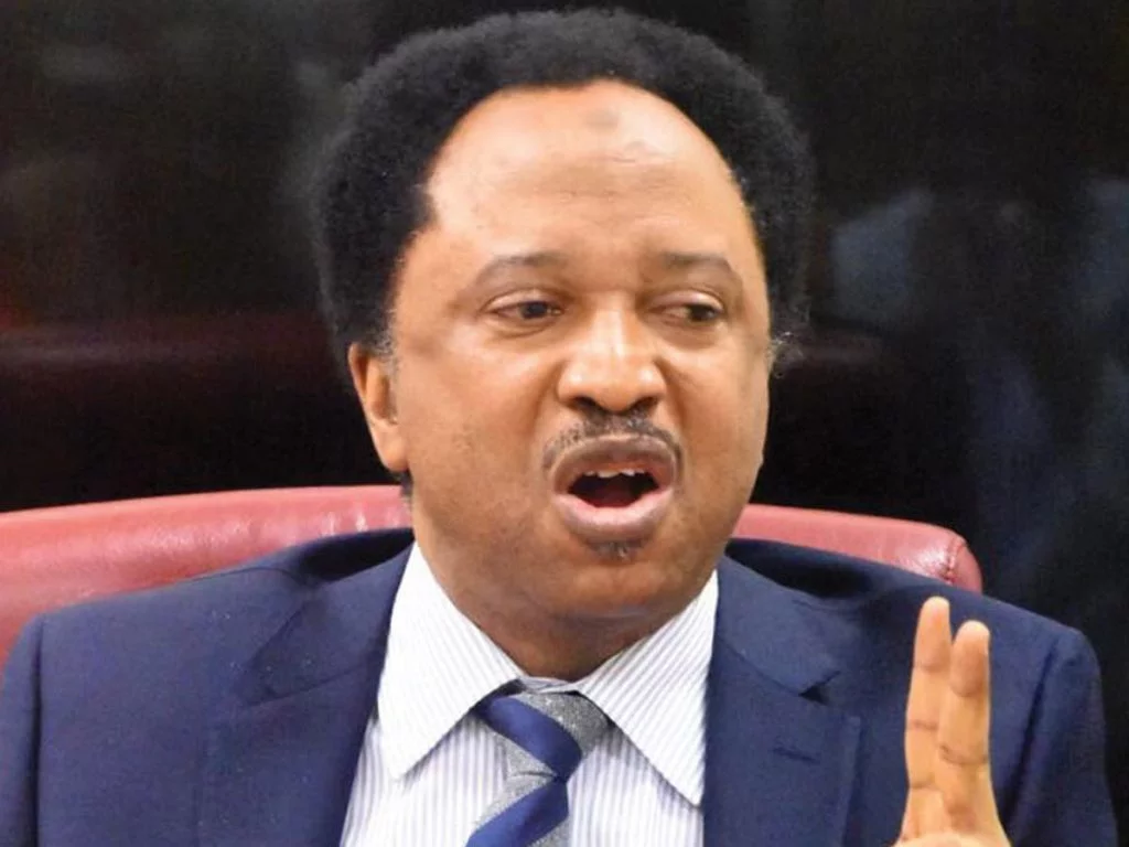 Shehu Sani reacts to Doguwa’s threat to constituents to vote APC or face consequences