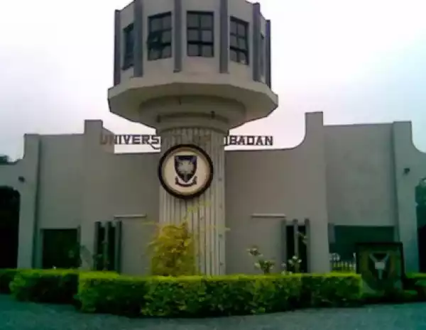 Tension in University of Ibadan as four Governing Council members stage walk-out during council meeting to select a new VC