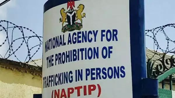NAPTIP Arrests Woman For Allegedly Stealing 20-Year-Old Girl From Birth In Enugu