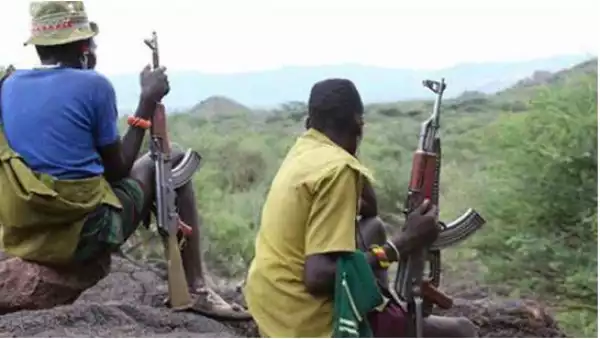 Zamfara: Bandits Kidnap Scores Along Gusau-Funtua Highway