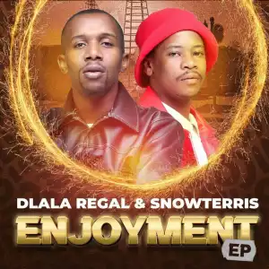 Dlala Regal & SnowTerris – Enjoyment (feat. Scotts Maphuma)