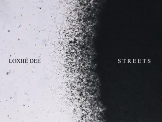 Loxiie Dee – Streets (Amapiano Remix)