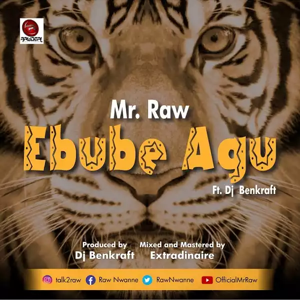Mr Raw – Ebube Agu